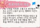 프로이트의 생애와 사상1 36페이지