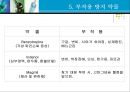 [투약간호]투약시 주의를 요하는 약물과 간호, CRP약물과 간호, 항정신병약물, 항조증약물, 항우울제약물, 항불안제약물, 부작용 방지약물, 투약의원칙 18페이지