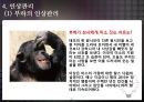 리더-부하 교환이론과 리더의 귀인행동 35페이지