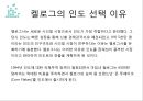 국내 및 해외기업의 해외진출 성공 및 실패사례 20페이지