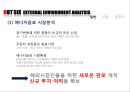 핫식스 제품분석과 SWOT분석및 핫식스 현재 마케팅전략분석및 핫식스 향후 국내외 마케팅전략 제안 PPT 8페이지
