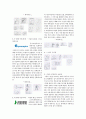 [시각디자인] identity design 기본요소(심볼/로고) 3페이지