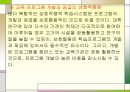 평생교육 (UNESCO) 24페이지