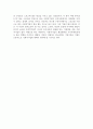 [사회적기업론 과제][독일의 Street Football World] 4페이지