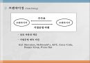 다국적 기업의 해외시장 진입방식과 진출모형 16페이지