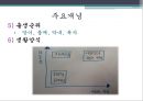학자들의 생애와 주요 개념과 SW 실천방법 16페이지