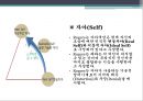 학자들의 생애와 주요 개념과 SW 실천방법 53페이지