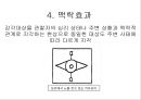 형태주의, 통찰설, 그리고 장이론 12페이지