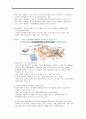 청각장애 - 유아특수교육특론 [정의, 특성, 유형과 원인, 판별과 사정, 공학과 소리를 증폭하고 대체하는 지원, 교육접근, 대안적 교육배치, 최근 쟁점과 미래 동향] 4페이지