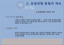 유럽통합과 EU의 구조 9페이지