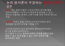 논리 원자론의 형이상학 이해하기  17페이지