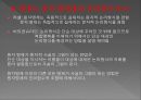 논리 원자론의 형이상학 이해하기  21페이지