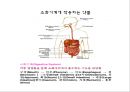 [약리학] 소화기계에 작용하는 약물, 소화성궤양, 최토제, 진토제, 설사제, 지사제, 과민성대장증후군, 장염치료제, 아담제, 간장질환치료제, 담석용해제, 췌장질환치료제 3페이지