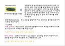 [약리학] 소화기계에 작용하는 약물, 소화성궤양, 최토제, 진토제, 설사제, 지사제, 과민성대장증후군, 장염치료제, 아담제, 간장질환치료제, 담석용해제, 췌장질환치료제 6페이지