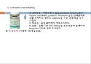[약리학] 소화기계에 작용하는 약물, 소화성궤양, 최토제, 진토제, 설사제, 지사제, 과민성대장증후군, 장염치료제, 아담제, 간장질환치료제, 담석용해제, 췌장질환치료제 28페이지