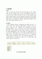 [다문화사회복지] 미국의 다문화정책 - 미국의 이민현황과 정책, 법제와 추진체계, 다문화정책 2페이지