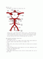 CVA (cerebrovascular accident) 뇌혈관장애에 관한 4페이지