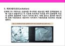 피부미용 치료기기 와 체형관리기& 미용 시술과 성형수술 의 이해 29페이지