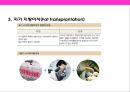 피부미용 치료기기 와 체형관리기& 미용 시술과 성형수술 의 이해 35페이지