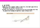 피부미용 치료기기 와 체형관리기& 미용 시술과 성형수술 의 이해 38페이지