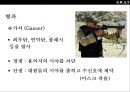 미국 경찰 대테러 부대 스와트팀의 이해SWAT(Special weapon Attack Team) 16페이지
