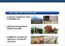 한국농업의 신성장동력 확보와 정책혁신 방향 36페이지