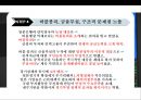 일본경제의 전철을 밟아가는 우리경제 10페이지