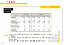 이랜드 ELAND 기업분석과 이랜드 SPA진출 마케팅 성공,실패사례(MIXXO) 분석및 향후 새로운전략 제안 PPT 6페이지