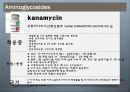 [약리학] 항생제, Aminoglycosides, Fluoroquinolones, Peptides, 기타 항생제, Antivials, 항말라리아제, 항기생충 약물 8페이지
