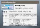 [약리학] 항생제, Aminoglycosides, Fluoroquinolones, Peptides, 기타 항생제, Antivials, 항말라리아제, 항기생충 약물 9페이지