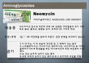 [약리학] 항생제, Aminoglycosides, Fluoroquinolones, Peptides, 기타 항생제, Antivials, 항말라리아제, 항기생충 약물 11페이지