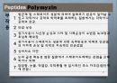 [약리학] 항생제, Aminoglycosides, Fluoroquinolones, Peptides, 기타 항생제, Antivials, 항말라리아제, 항기생충 약물 47페이지