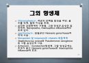 [약리학] 항생제, Aminoglycosides, Fluoroquinolones, Peptides, 기타 항생제, Antivials, 항말라리아제, 항기생충 약물 49페이지