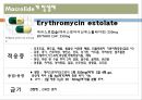 [약리학] 항생제, Macrolide, Lincosamides, Vancomycin, Tetracyclines,Sulfonamides,항결핵제, 항진균제 7페이지