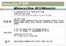 [약리학] 항생제, Macrolide, Lincosamides, Vancomycin, Tetracyclines,Sulfonamides,항결핵제, 항진균제 19페이지