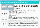 [약리학] 항생제, penicillin, Cephaloshorin, 항균제, Cephalosporin 1세대, Cephalosporin 2세대, Cephalosporin 3세대, 24페이지