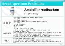 [약리학] 항생제, penicillin, Cephaloshorin, 항균제, Cephalosporin 1세대, Cephalosporin 2세대, Cephalosporin 3세대, 28페이지