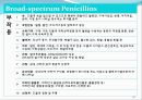 [약리학] 항생제, penicillin, Cephaloshorin, 항균제, Cephalosporin 1세대, Cephalosporin 2세대, Cephalosporin 3세대, 29페이지