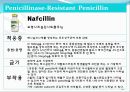 [약리학] 항생제, penicillin, Cephaloshorin, 항균제, Cephalosporin 1세대, Cephalosporin 2세대, Cephalosporin 3세대, 34페이지