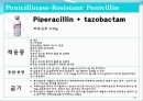 [약리학] 항생제, penicillin, Cephaloshorin, 항균제, Cephalosporin 1세대, Cephalosporin 2세대, Cephalosporin 3세대, 38페이지