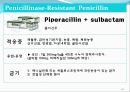 [약리학] 항생제, penicillin, Cephaloshorin, 항균제, Cephalosporin 1세대, Cephalosporin 2세대, Cephalosporin 3세대, 42페이지