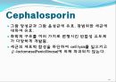 [약리학] 항생제, penicillin, Cephaloshorin, 항균제, Cephalosporin 1세대, Cephalosporin 2세대, Cephalosporin 3세대, 44페이지
