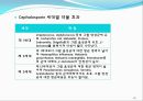 [약리학] 항생제, penicillin, Cephaloshorin, 항균제, Cephalosporin 1세대, Cephalosporin 2세대, Cephalosporin 3세대, 46페이지