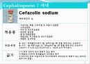 [약리학] 항생제, penicillin, Cephaloshorin, 항균제, Cephalosporin 1세대, Cephalosporin 2세대, Cephalosporin 3세대, 51페이지
