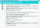 [약리학] 항생제, penicillin, Cephaloshorin, 항균제, Cephalosporin 1세대, Cephalosporin 2세대, Cephalosporin 3세대, 74페이지