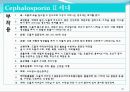 [약리학] 항생제, penicillin, Cephaloshorin, 항균제, Cephalosporin 1세대, Cephalosporin 2세대, Cephalosporin 3세대, 78페이지