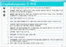 [약리학] 항생제, penicillin, Cephaloshorin, 항균제, Cephalosporin 1세대, Cephalosporin 2세대, Cephalosporin 3세대, 82페이지