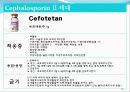 [약리학] 항생제, penicillin, Cephaloshorin, 항균제, Cephalosporin 1세대, Cephalosporin 2세대, Cephalosporin 3세대, 83페이지