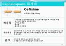 [약리학] 항생제, penicillin, Cephaloshorin, 항균제, Cephalosporin 1세대, Cephalosporin 2세대, Cephalosporin 3세대, 85페이지