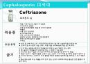 [약리학] 항생제, penicillin, Cephaloshorin, 항균제, Cephalosporin 1세대, Cephalosporin 2세대, Cephalosporin 3세대, 91페이지